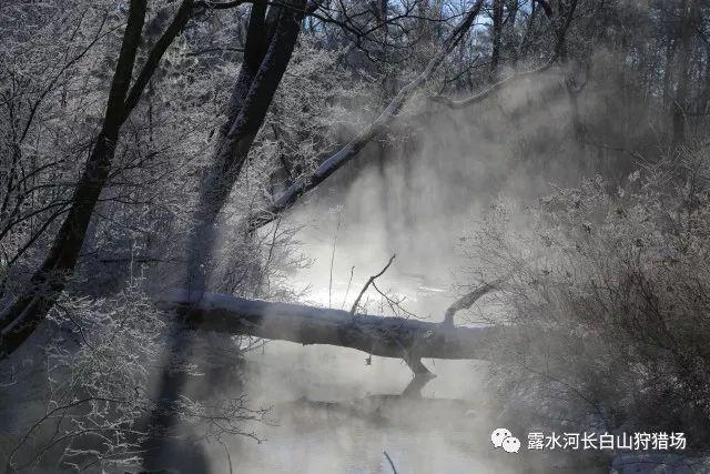 被育碧动视等大厂相中的国人策划,读研前没碰过游戏?